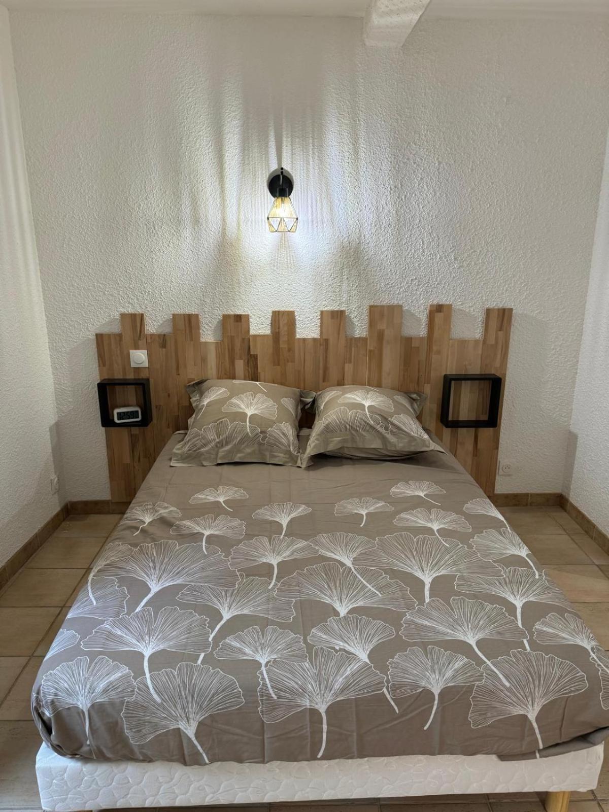 Charmant Appartement En Hypercentre De Castelnaudary Dış mekan fotoğraf